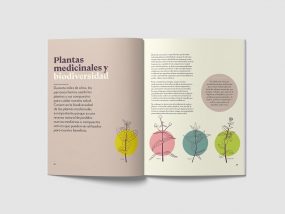 libro2